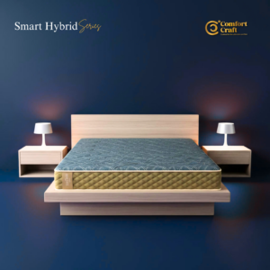 Dual Hybrid - Smart Hybrid Series