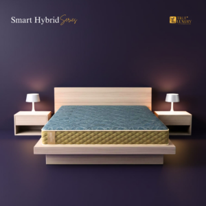 Dual Hybrid - Smart Hybrid Series